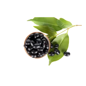 Black Jamun (1kg)